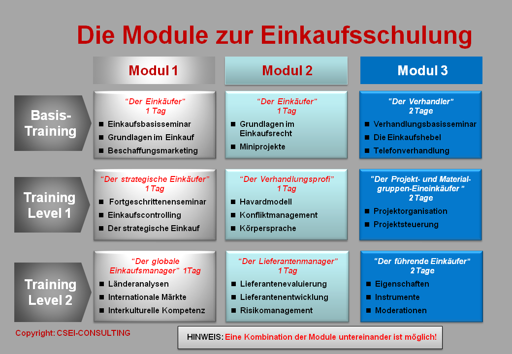 CSEI-Consulting Einkaufs-Module